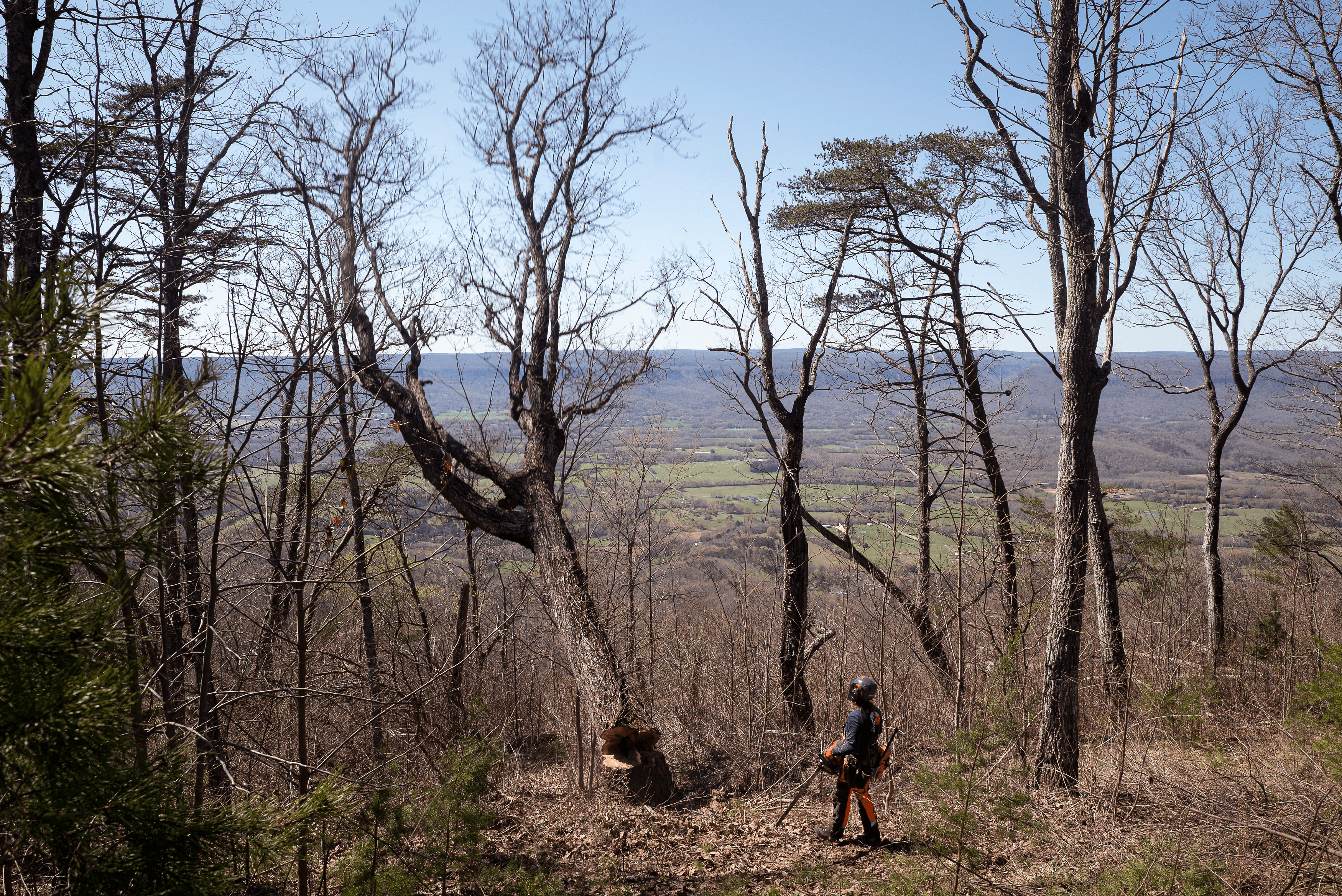 585 image 3